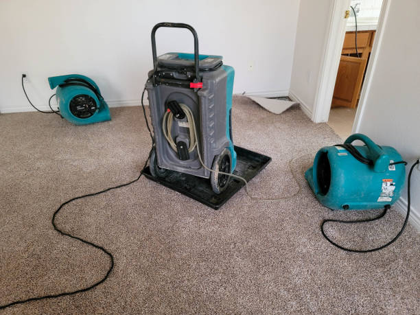 Best 24/7 water damage repair  in La Villa, TX