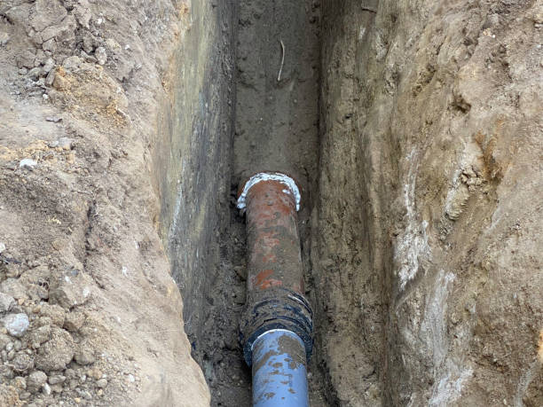 Best Basement water damage restoration  in La Villa, TX