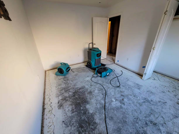 Best Water damage repair service  in La Villa, TX