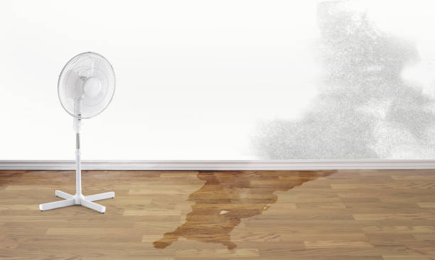 La Villa, TX Water damage restoration Pros