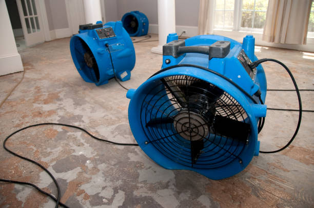 Local water damage restoration in La Villa, TX