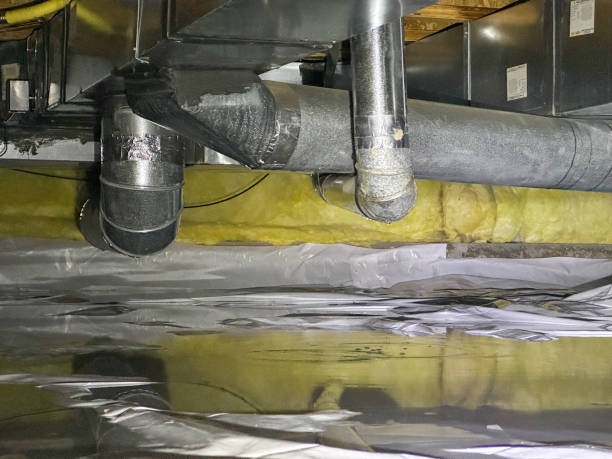 Best Water damage contractors near me  in La Villa, TX